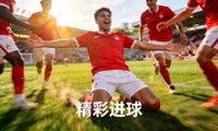 足球比赛精彩进球集锦缩略图 - 球员庆祝进球画面